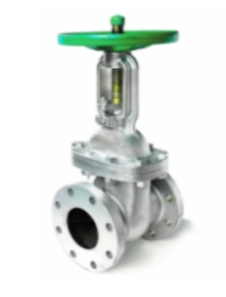 Hard seal gate valve