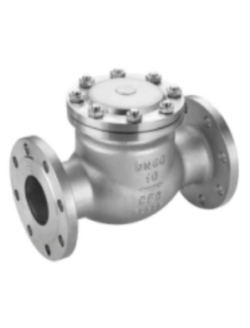 Swing check valve